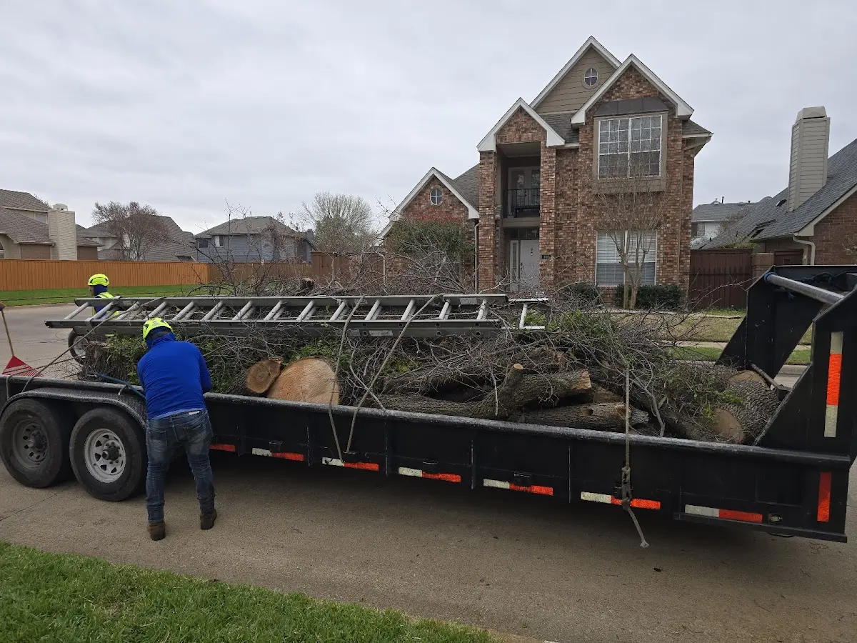 Expert Tree Fertilization with proper safety equipment in Elmont